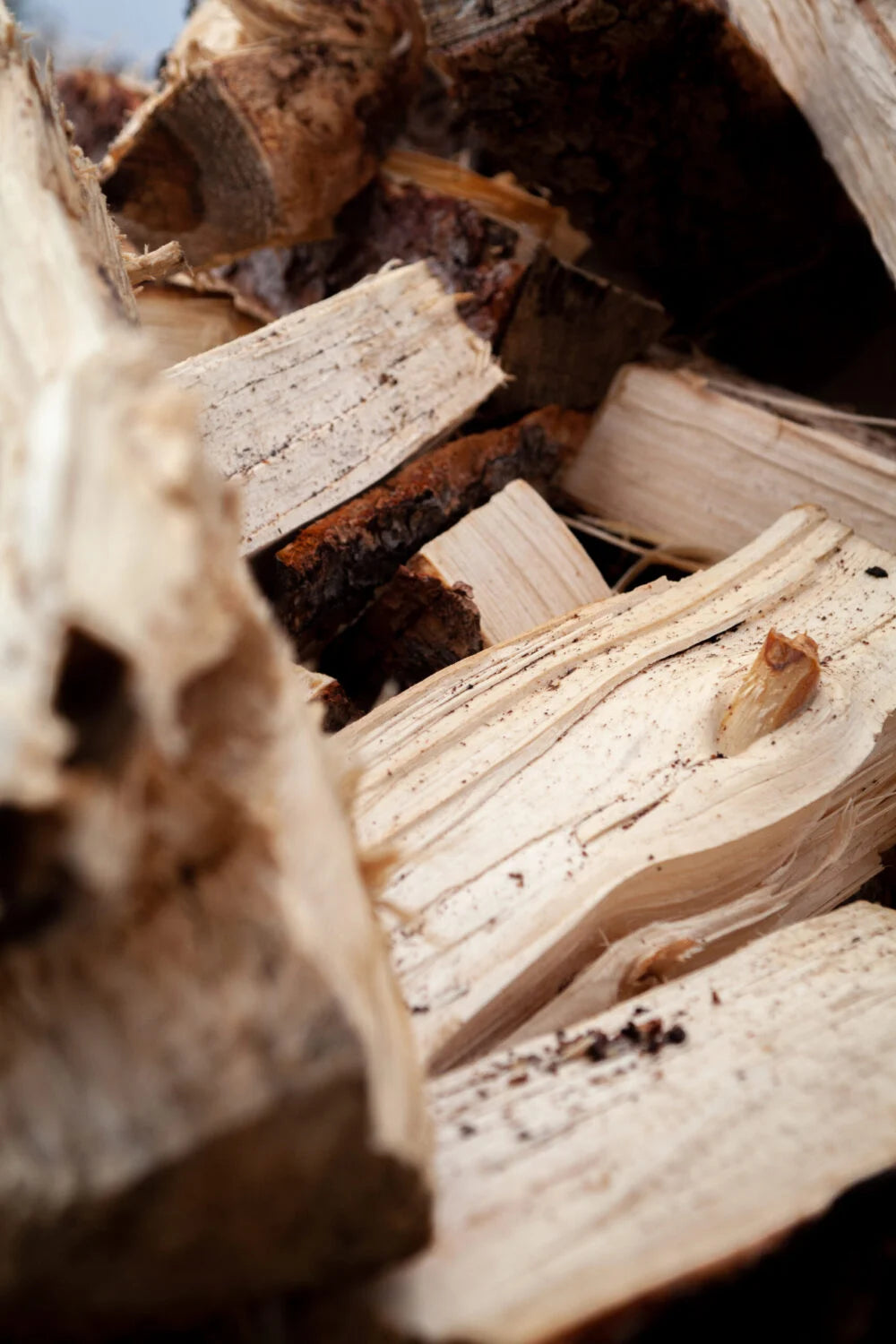 Alberta Camping Firewood Mix (Spruce/Pine)