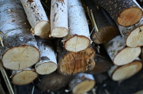 How Long to Season Birch Firewood to Prevent Popping and Sparking