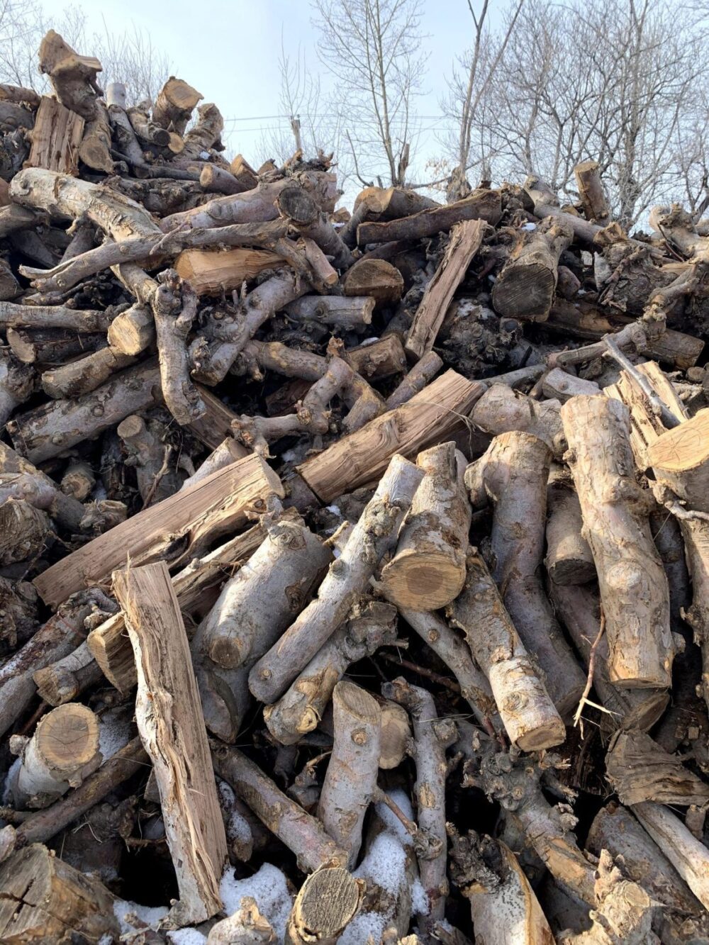 Naturally Seasoned BC Orchard Apple Firewood