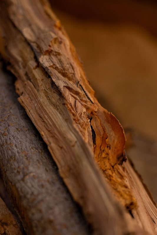 Apple Cooking Logs Firewood Bag