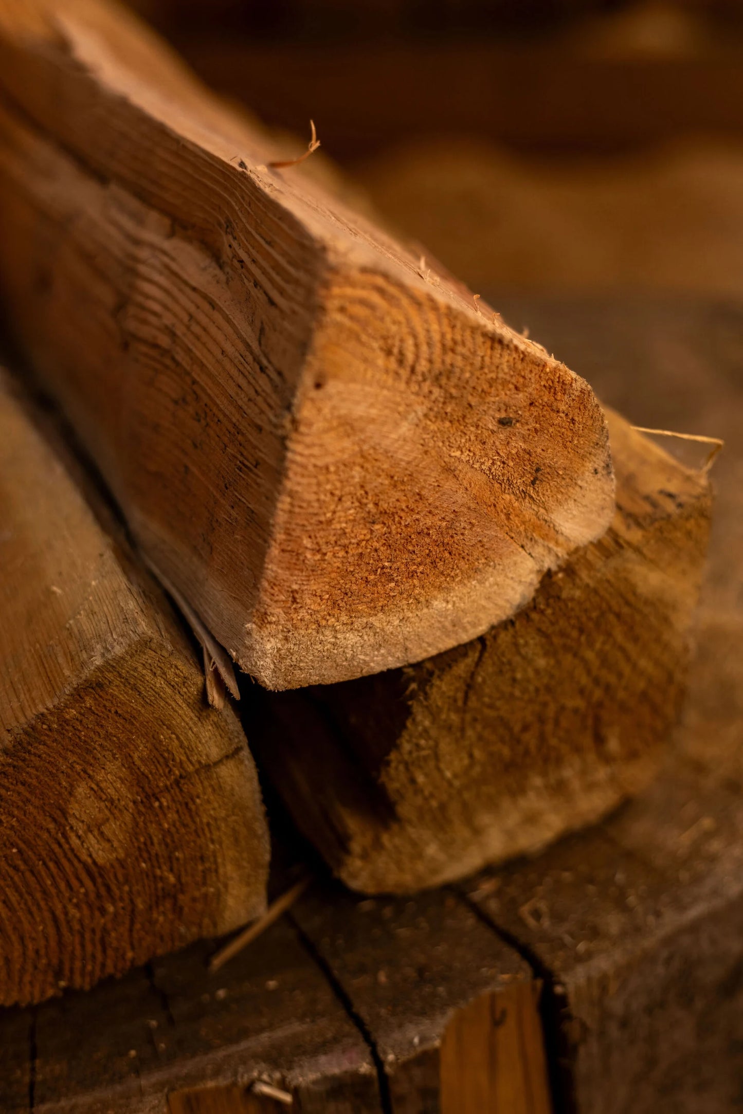 Dried BC Larch and Douglas Fir Firewood