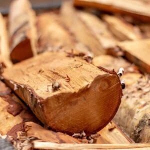 Kiln Dried BC Yellow Birch Firewood